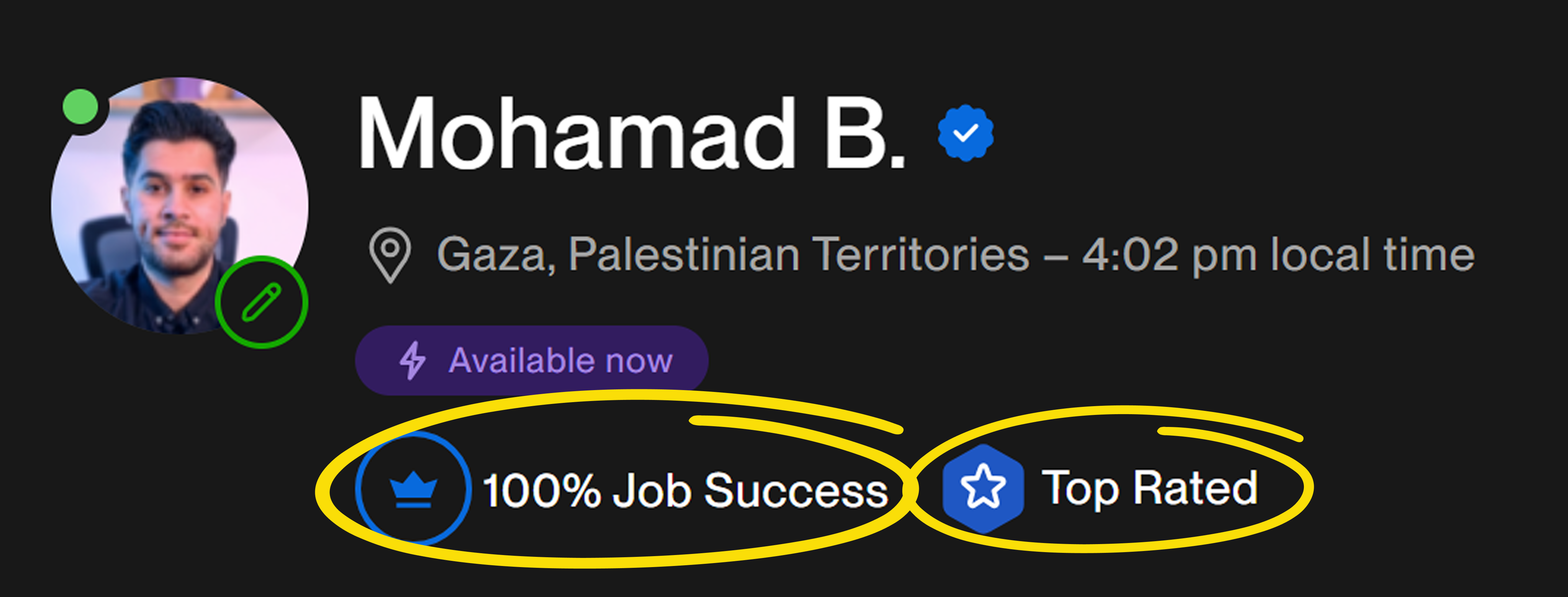 Upwork profile — 100% Job Success, Top Rated